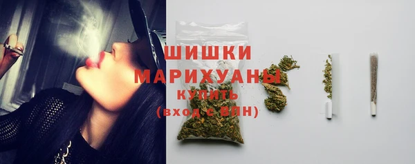амф Дмитриев