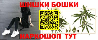 винт Гатчина