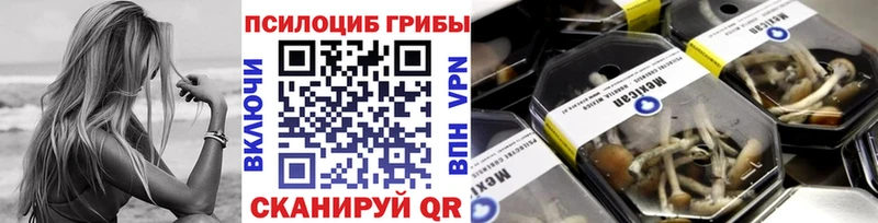 наркота  мориарти телеграм  Галлюциногенные грибы Psilocybe  Заводоуковск 