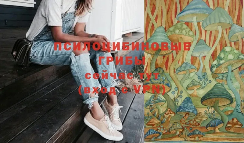Псилоцибиновые грибы ЛСД  купить  сайты  OMG ТОР  Заводоуковск 