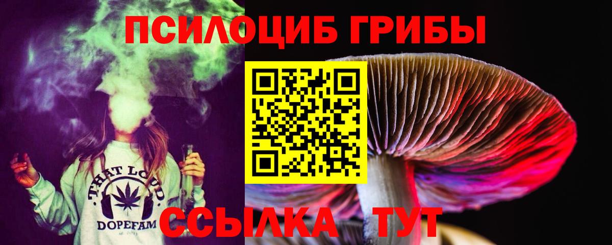 Псилоцибиновые грибы Cubensis  Вход с VPN  Заводоуковск 