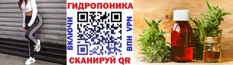 наркотики  Заводоуковск  МАРИХУАНА ГИДРОПОН 